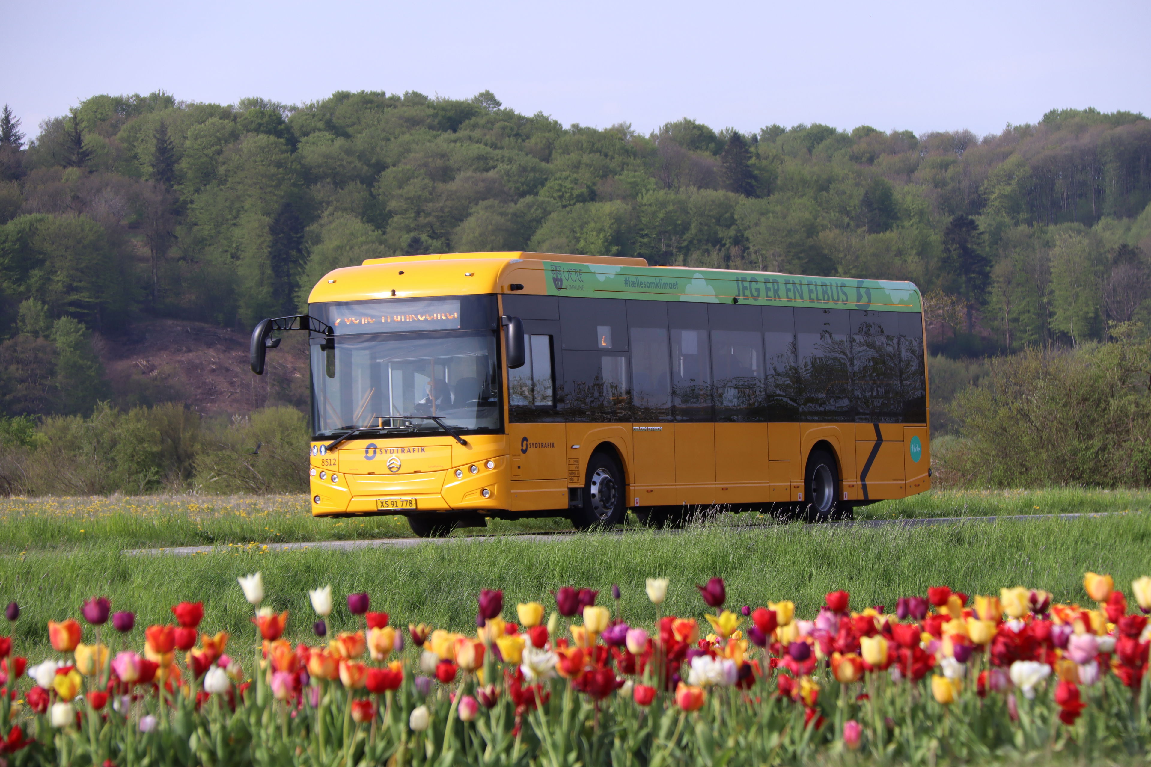Elbus