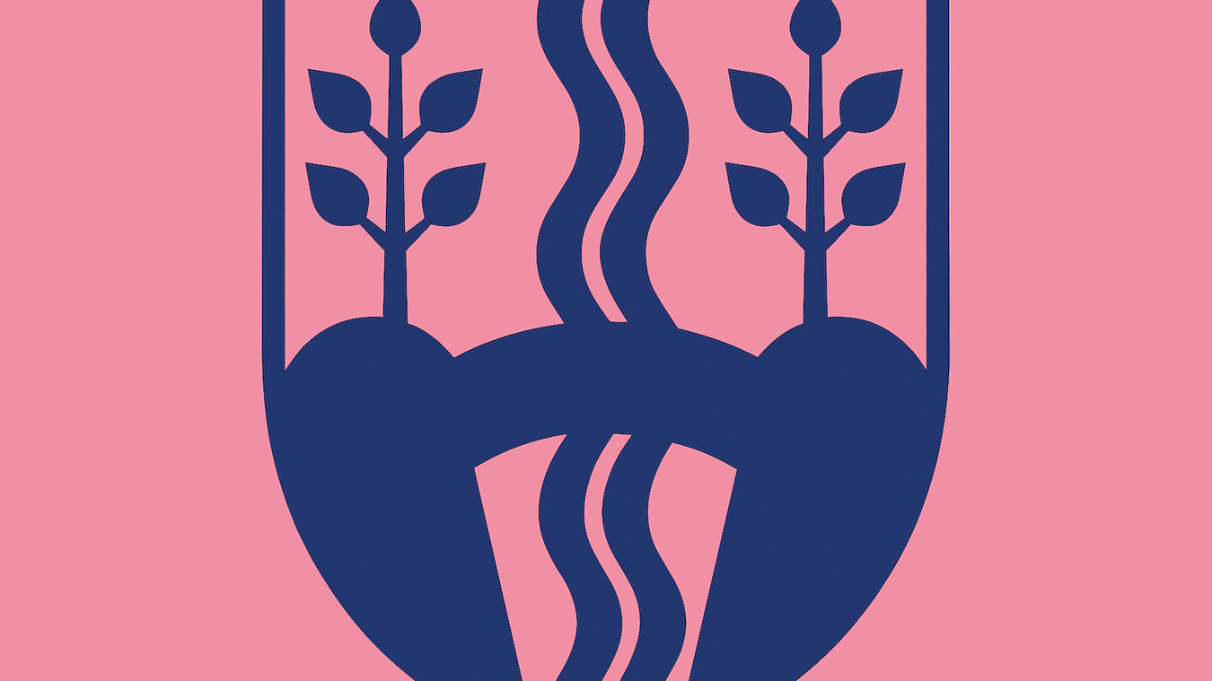 Vejle Kommunes byvåben