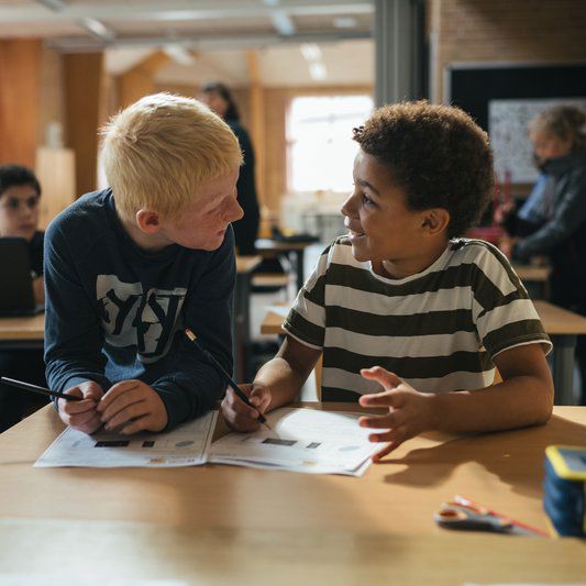 2 drenge der laver opgaver