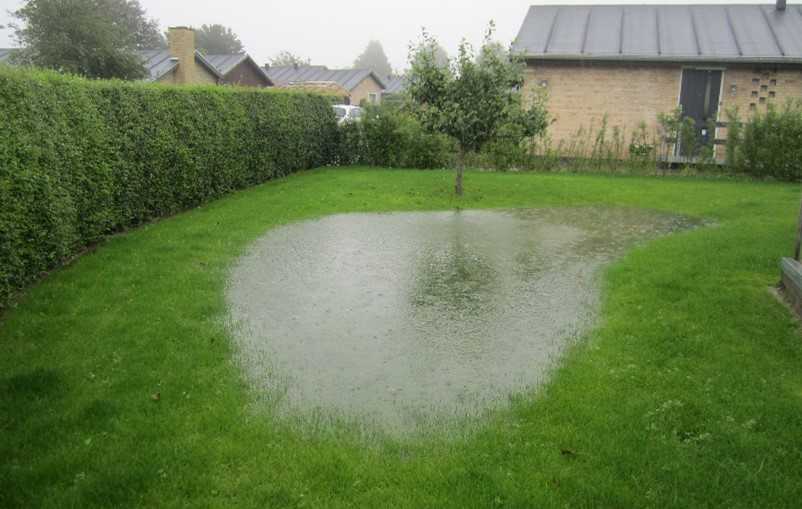 Eksempel på oversvømmelse i haven efter regnvejr