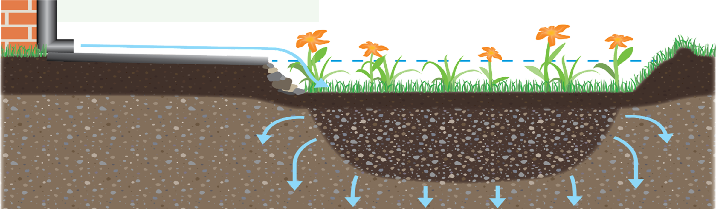 Illustration af regnbed