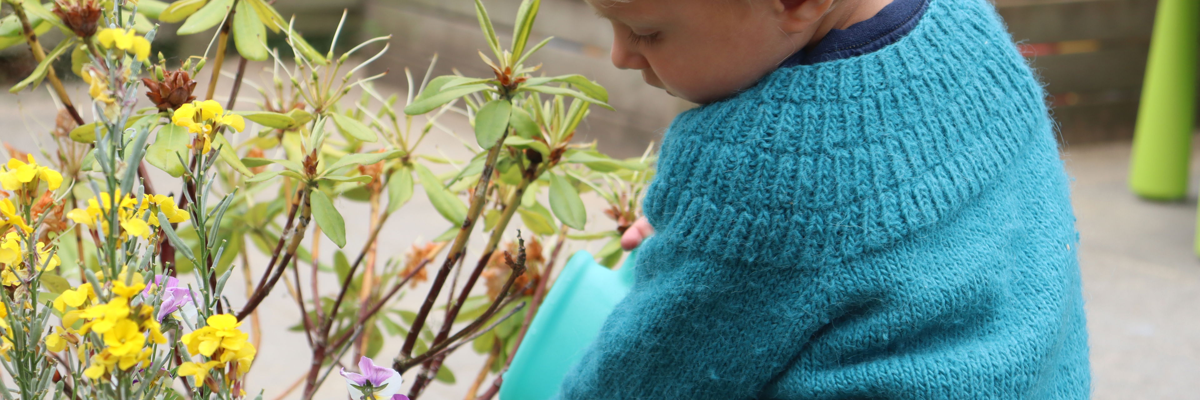 Dreng i Dagpleje vander gule blomster med vandkande