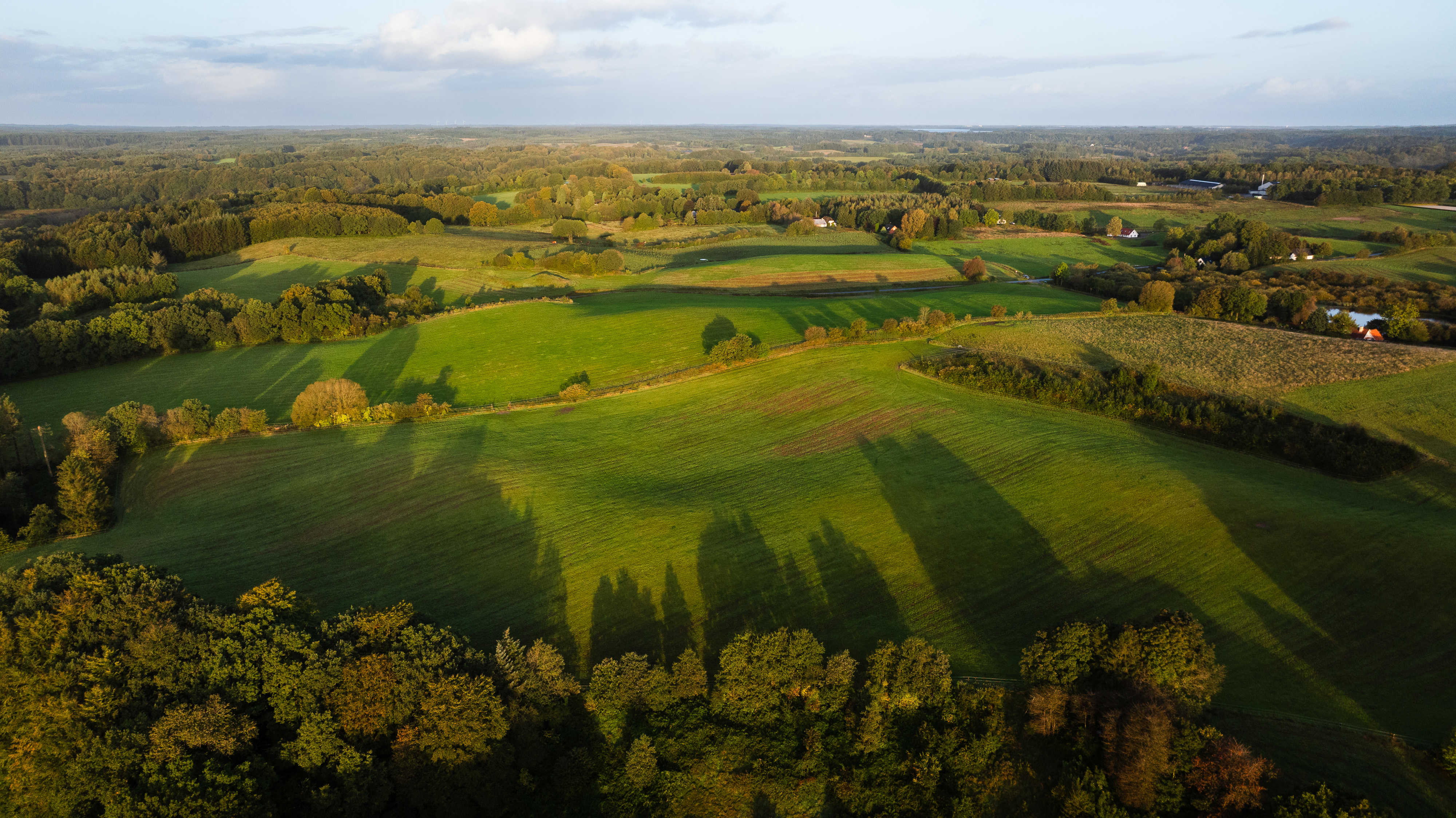Det meste af Lihmskov Bakker er i dag græsmarker, som nu bliver omlagt til en vildere og mere fri natur med eng, overdrev og skov. Det er naturtyper, der skal være flere af i Danmark, hvis vi skal løse vores udfordringer med klimaet og biodiversiteten.