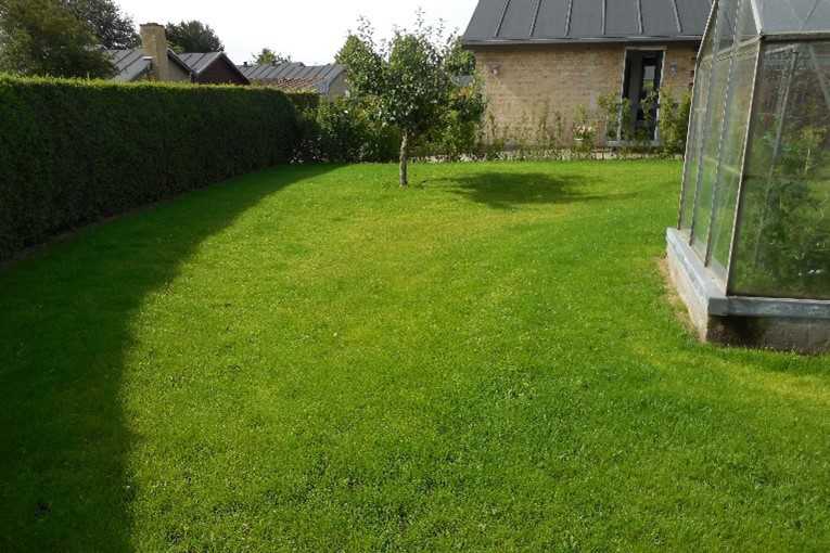 Eksempel på have inden regnvejr