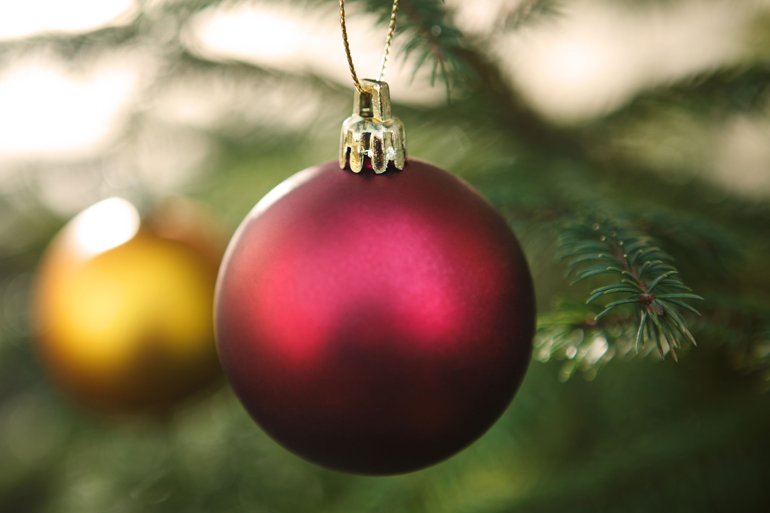 Nærbillede at rød julekugle. I baggrunden ses en gul kugle og en række grønne grangrene.