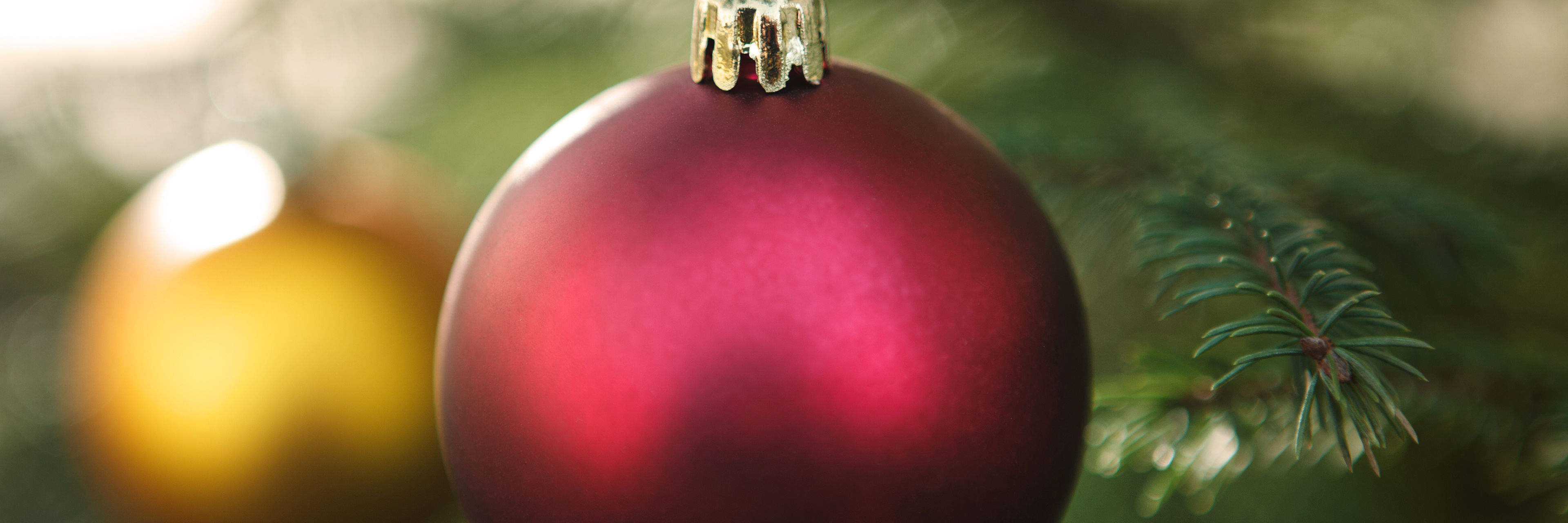 Nærbillede at rød julekugle. I baggrunden ses en gul kugle og en række grønne grangrene.