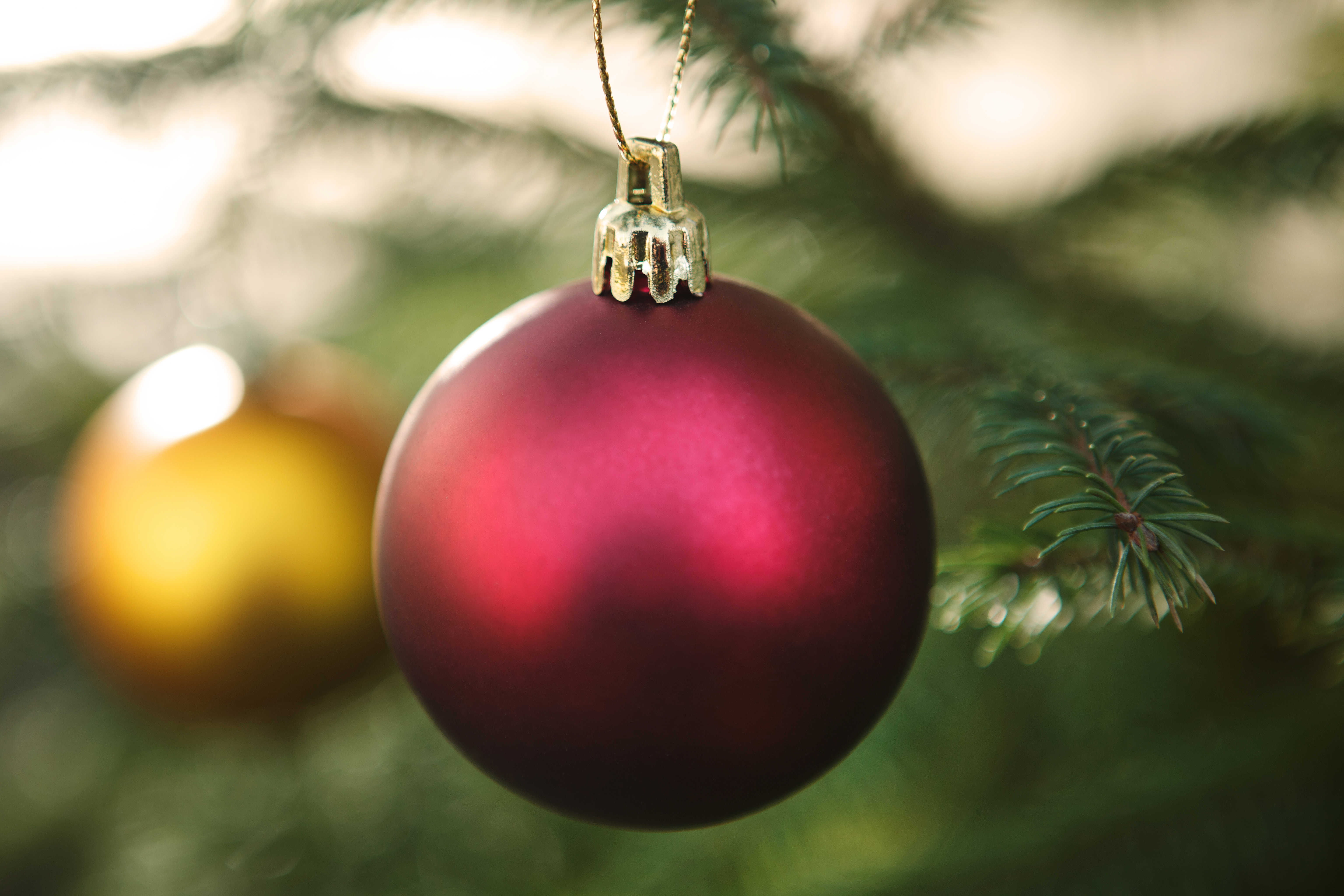 Nærbillede at rød julekugle. I baggrunden ses en gul kugle og en række grønne grangrene.