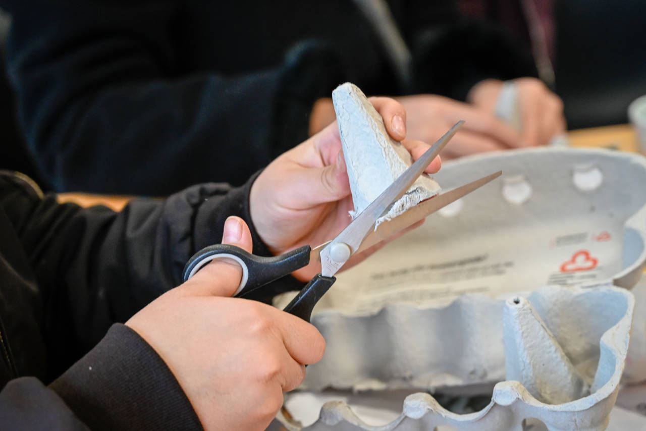 Person iført sort sweatshirt klipper i æggebakker ved et arbejdsbord i Laboratoriet på RCV.