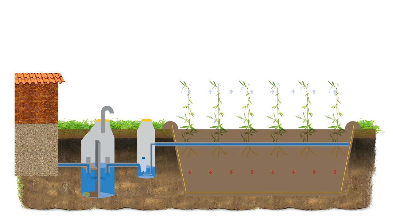 Illustration af et pileanlæg