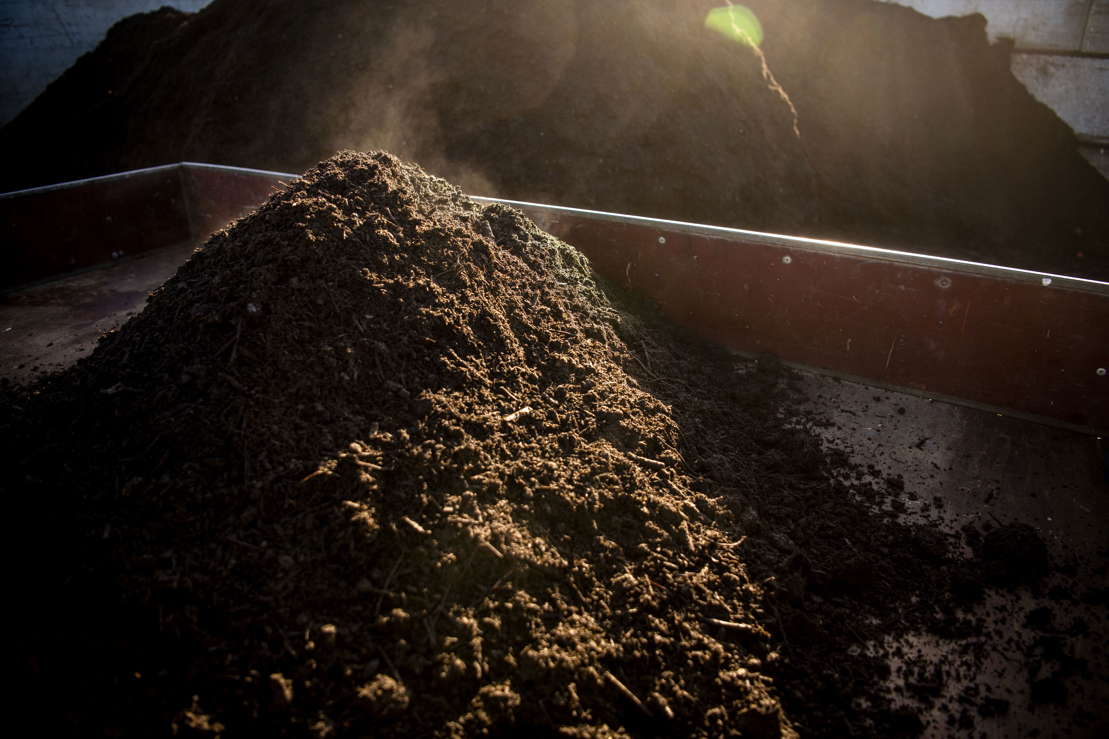 Dampende kompost i trailer.