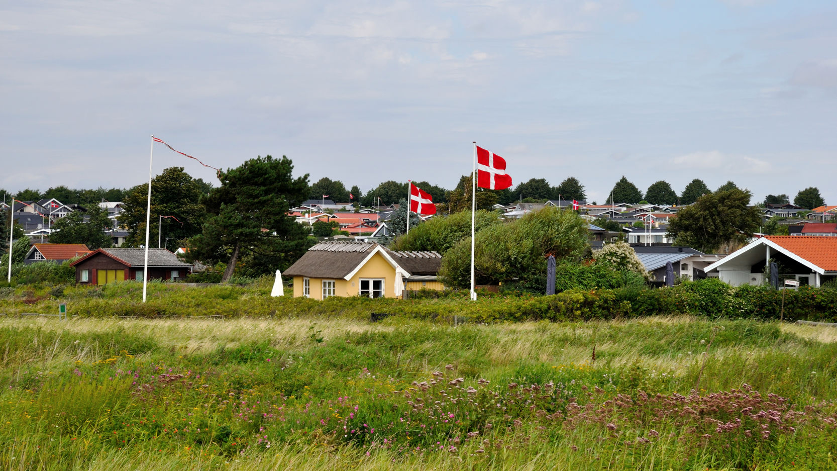 ommerhusområde med grønne enge i forgrunden og flere små huse omgivet af træer og buske. Flere flagstænger med danske flag blafrer i vinden under en delvist skyet himmel.