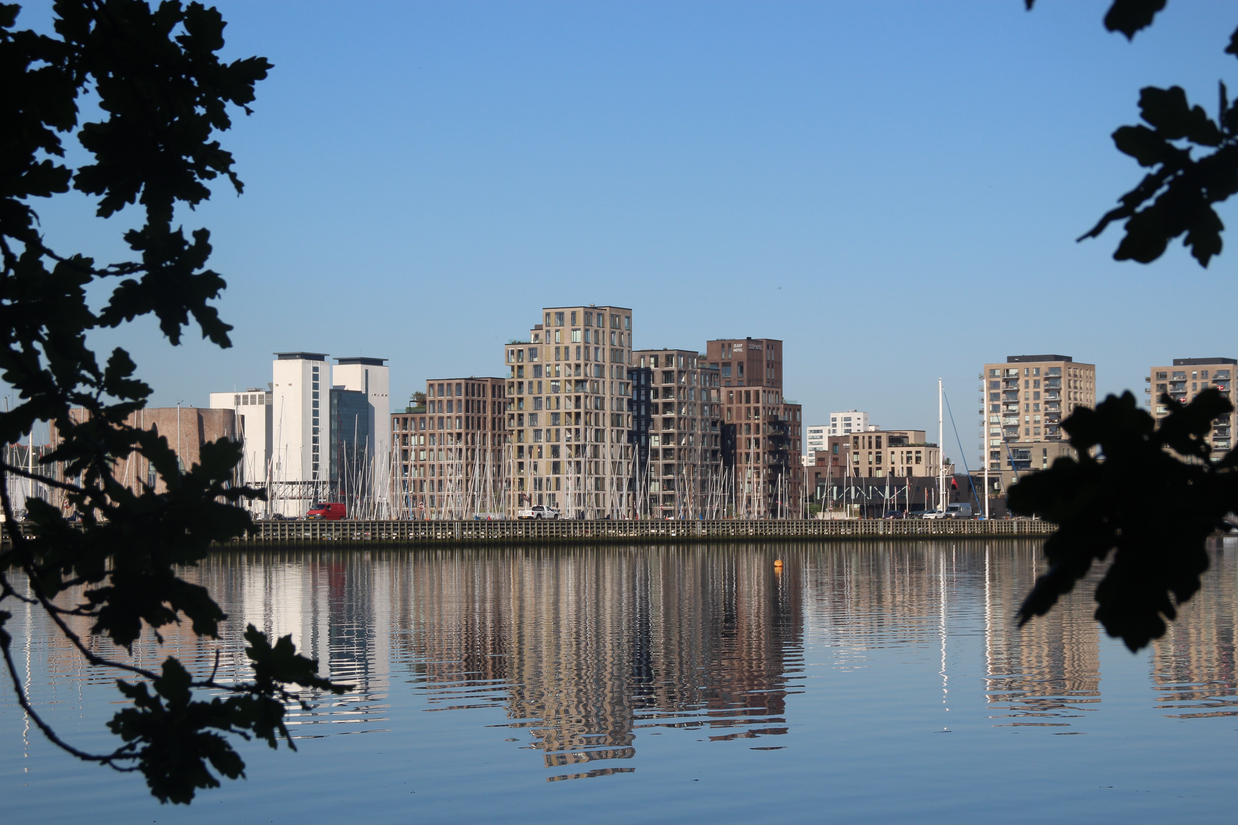 Havneøen set fra skovbryn med blikstille vand