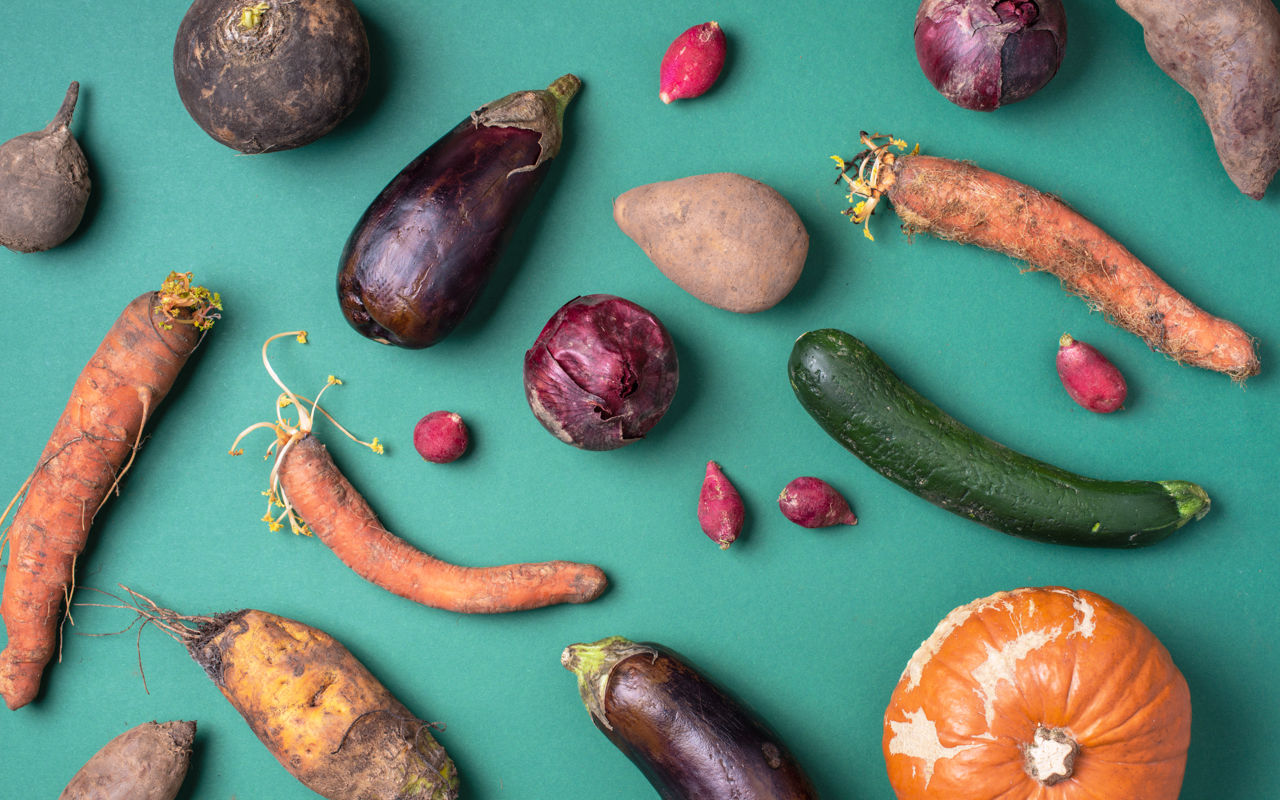 Forskellige rodfrugter og grøntsager på en grøn baggrund. Der ses blandt andet gulerødder, græskar, squash, løg, radiser mv.