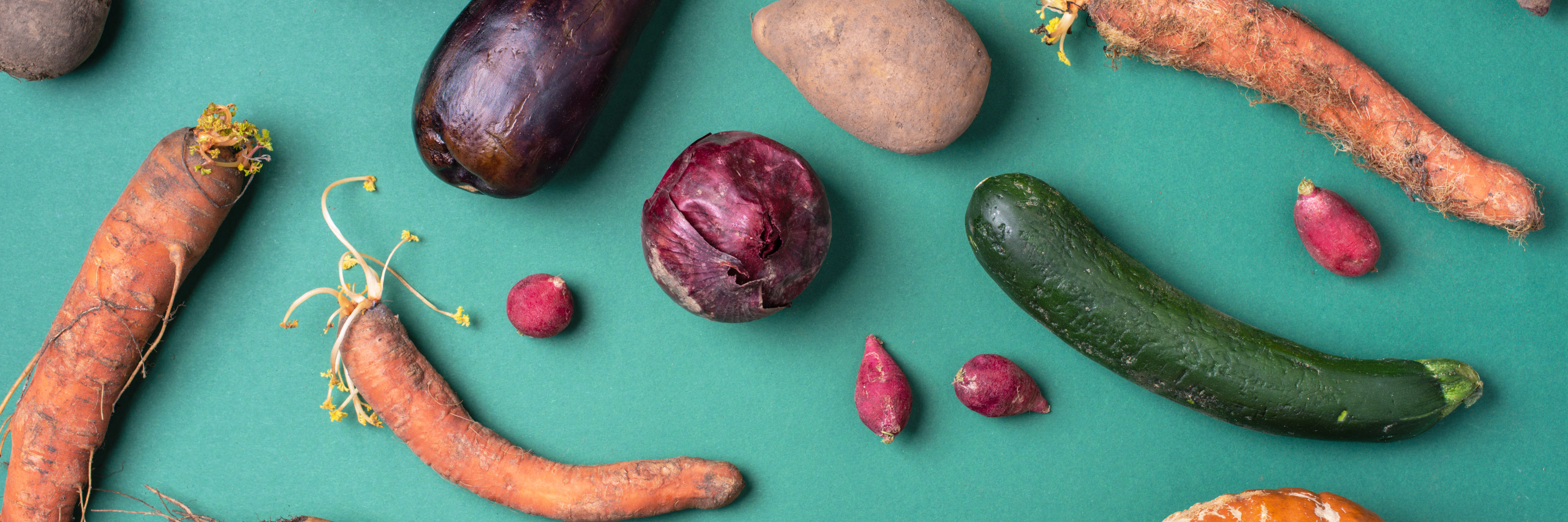 Forskellige rodfrugter og grøntsager på en grøn baggrund. Der ses blandt andet gulerødder, græskar, squash, løg, radiser mv.