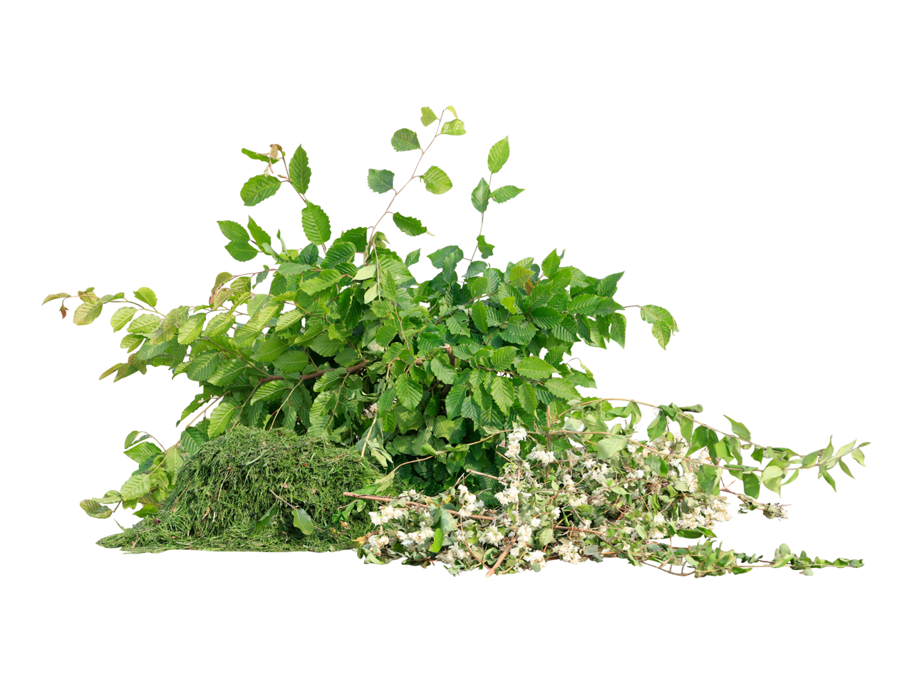 Haveaffald – Afskårne grene og blade klar til genanvendelse som kompost.