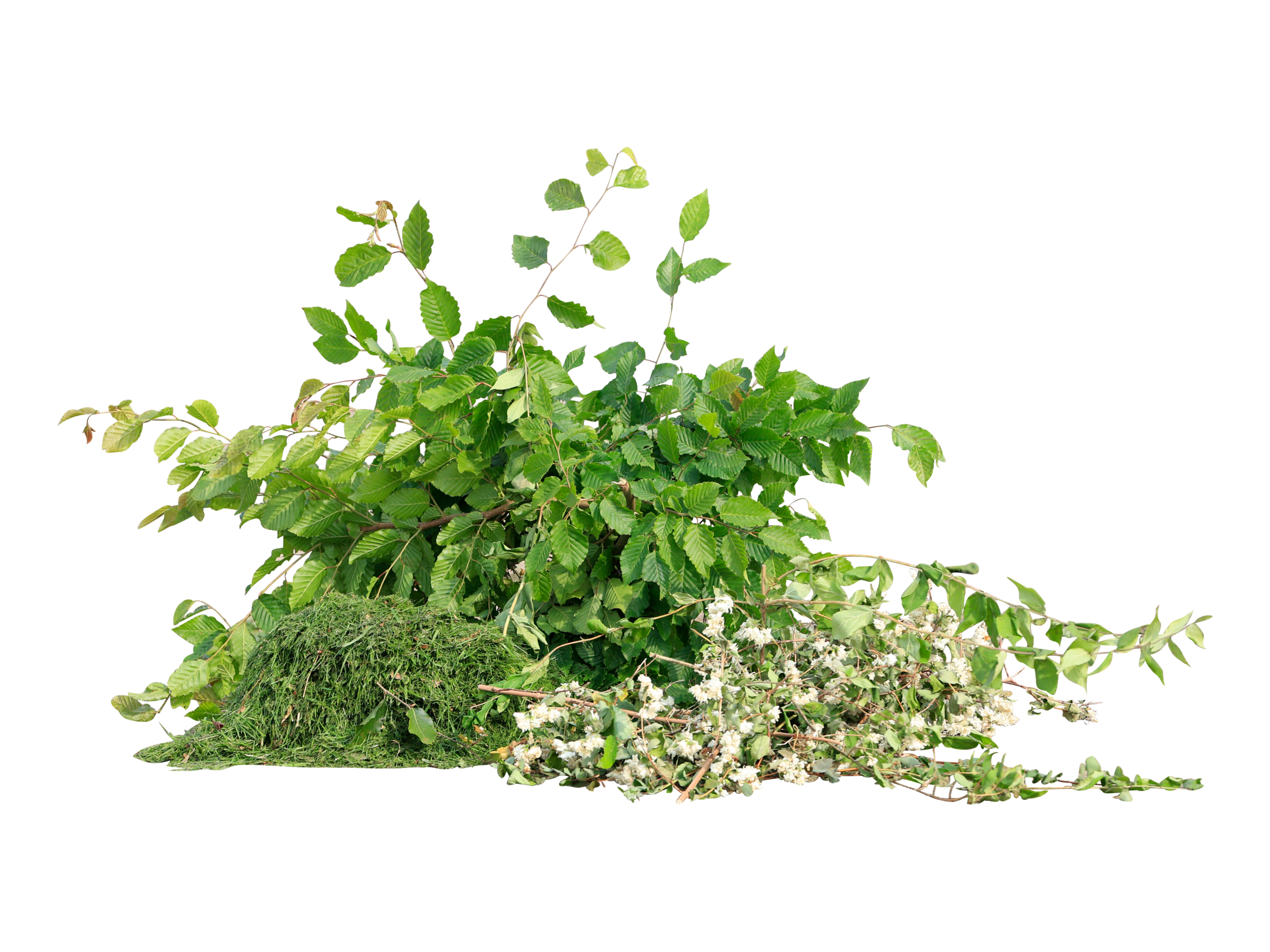 Haveaffald – Afskårne grene og blade klar til genanvendelse som kompost.