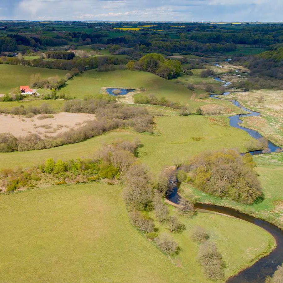 Tørskind grusgrav, Vejle Ådal