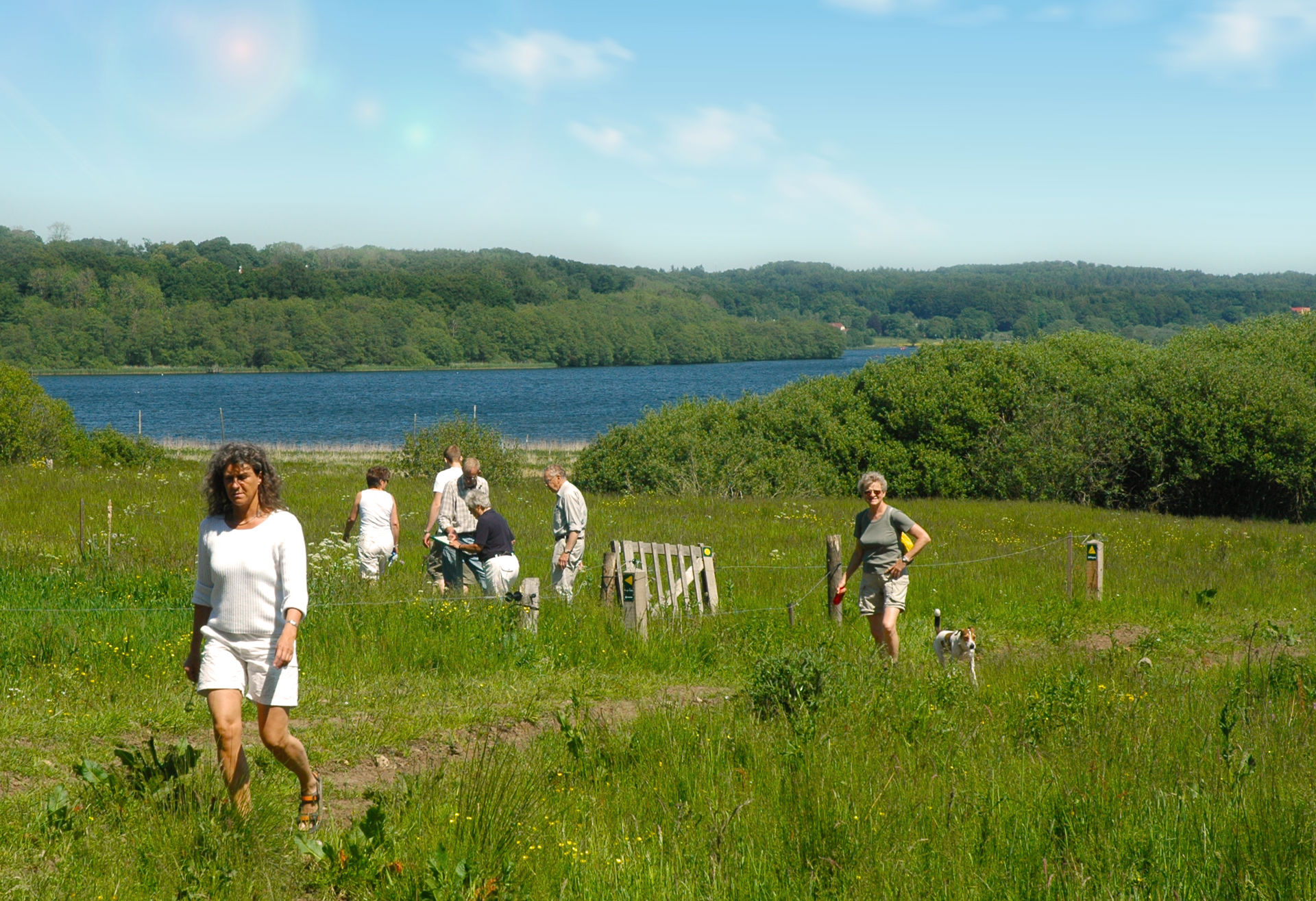 Fårup Sø og Øvre Grejs Ådal - Vejle Kommune