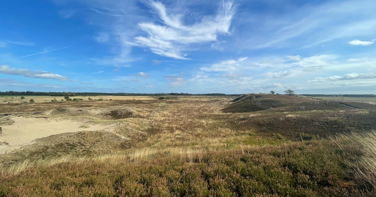 Randbøl Hede, Frederikshåb Plantage og Syvårssøerne - Vejle Kommune